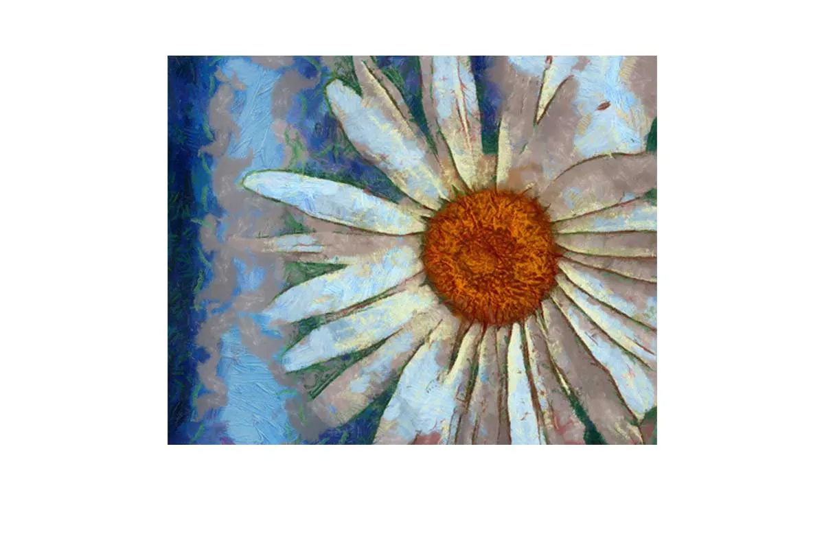 Abstract Daisy | Wall Art Print
