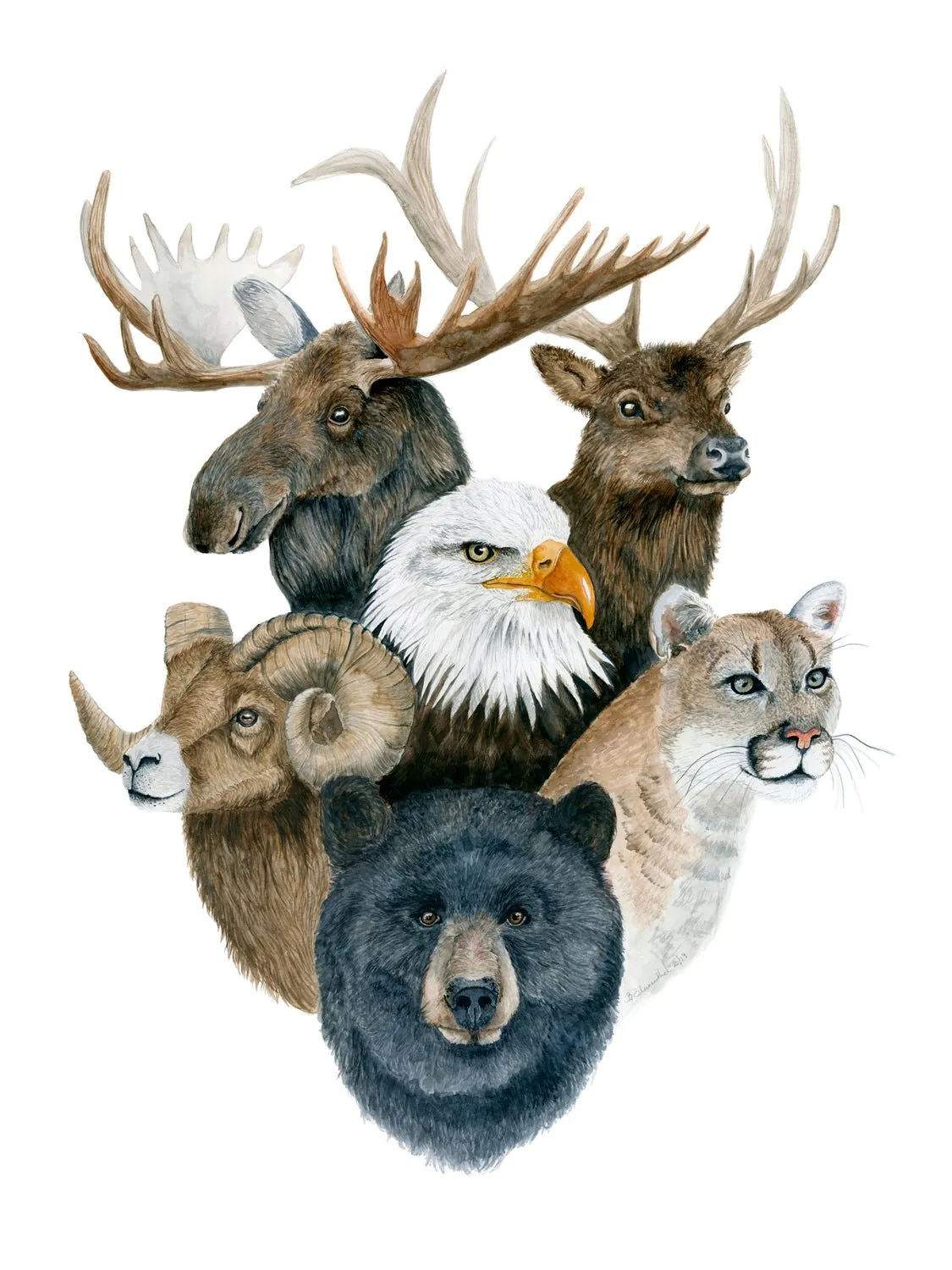 Animal Montage - Mountain Canvas Wall Art