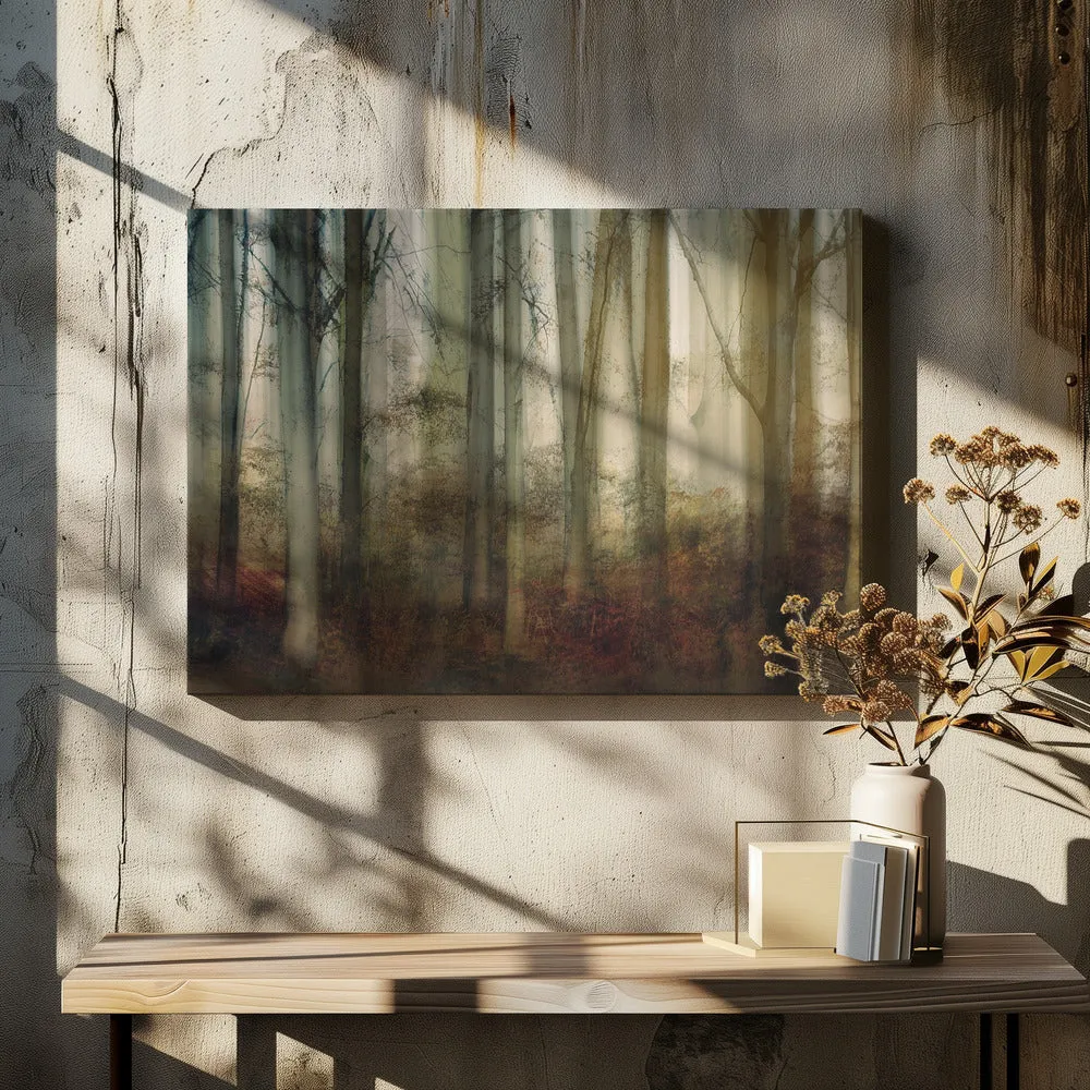 Autumn Light by Nel Talen - Stretched Canvas, Poster or Fine Art Print