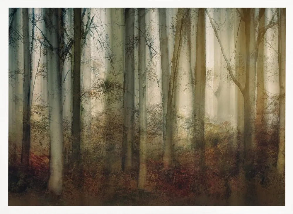 Autumn Light by Nel Talen - Stretched Canvas, Poster or Fine Art Print