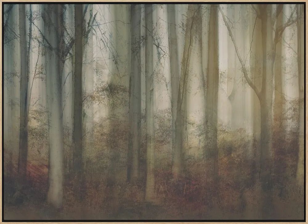Autumn Light by Nel Talen - Stretched Canvas, Poster or Fine Art Print