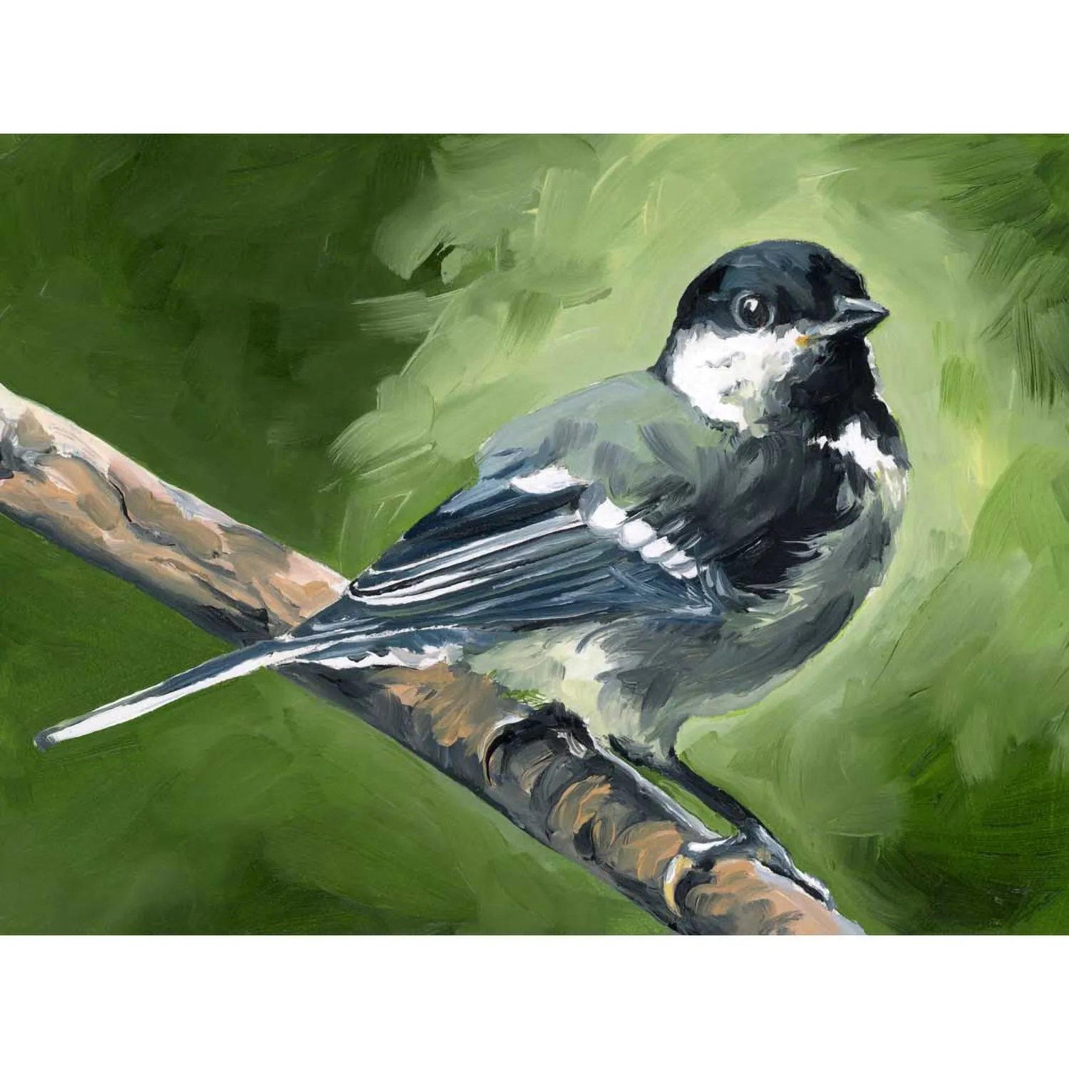 Avian Spotlight - Black Capped Fledge Canvas Wall Art