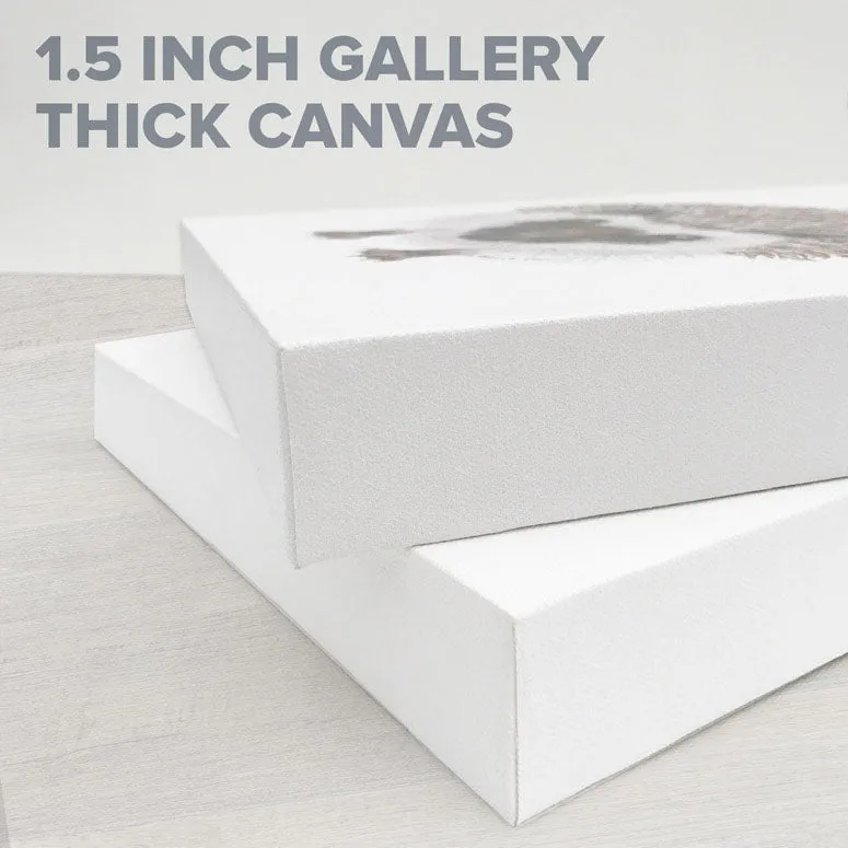 Avian Spotlight - Black Capped Fledge Canvas Wall Art
