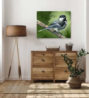 Avian Spotlight - Black Capped Fledge Canvas Wall Art