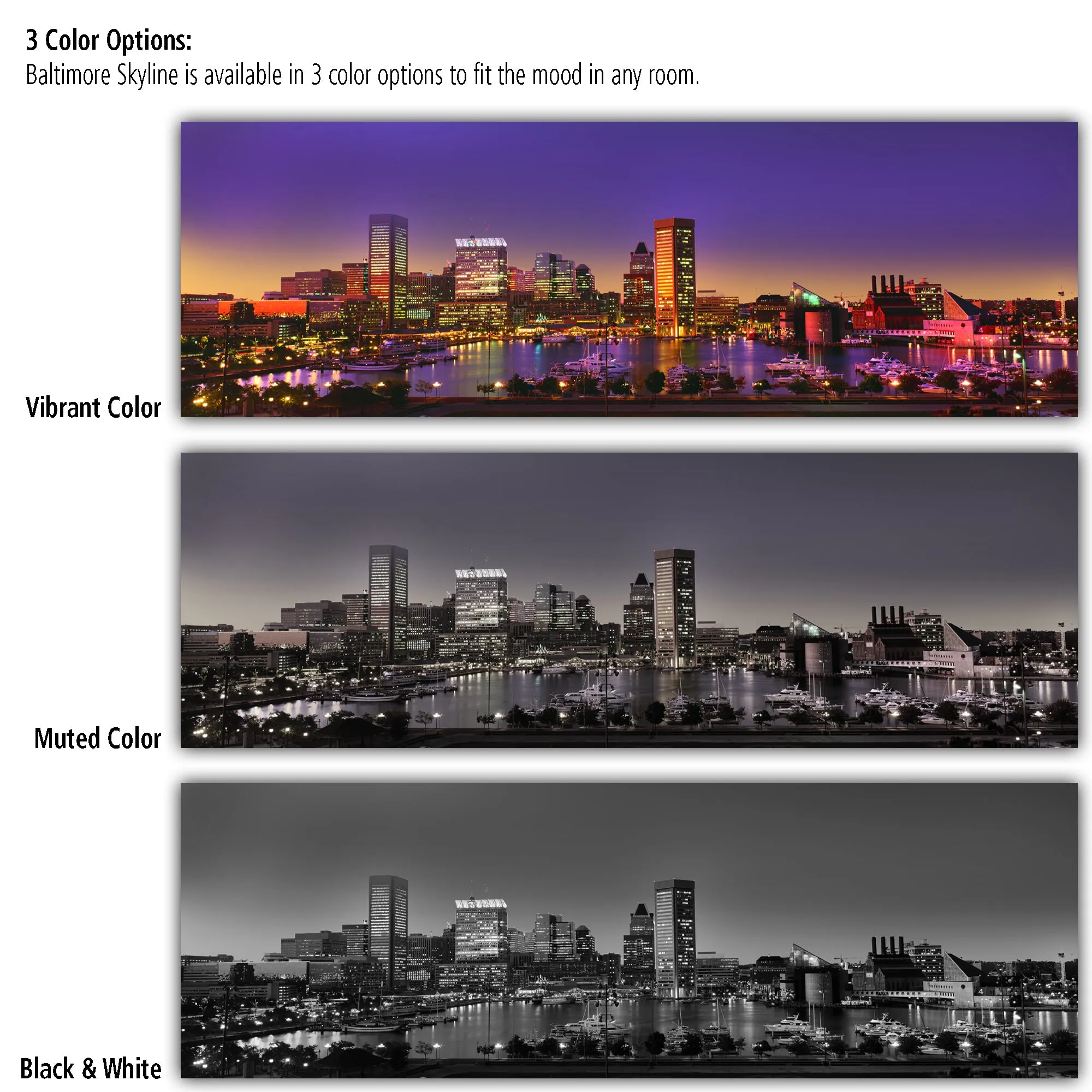Baltimore Skyline on Canvas