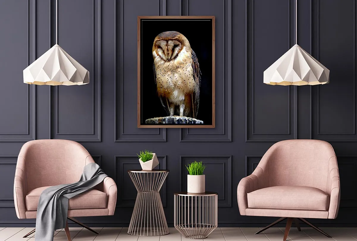 Barn Owl | Canvas Wall Art Print