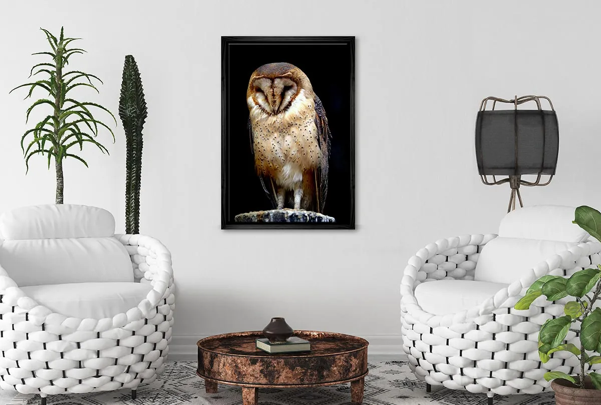 Barn Owl | Canvas Wall Art Print