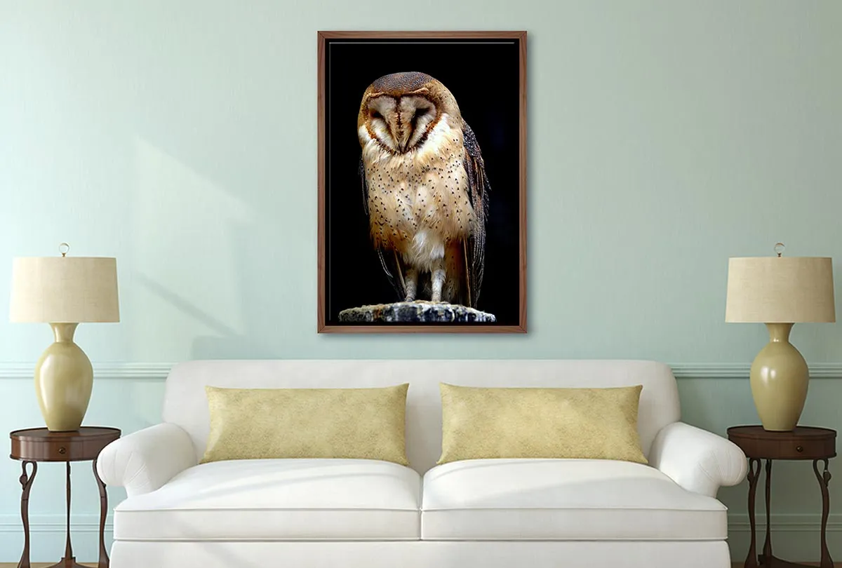 Barn Owl | Canvas Wall Art Print