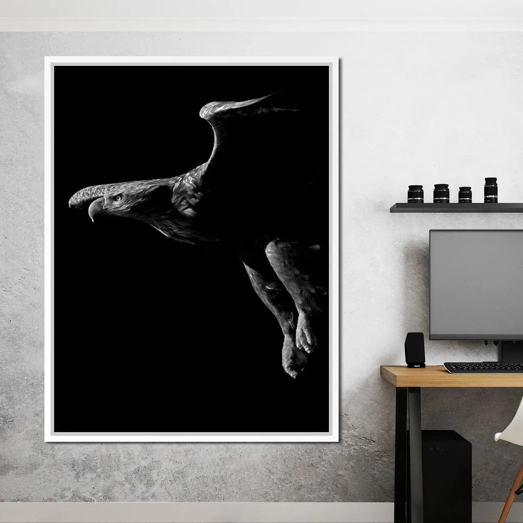 Black and White Eagle