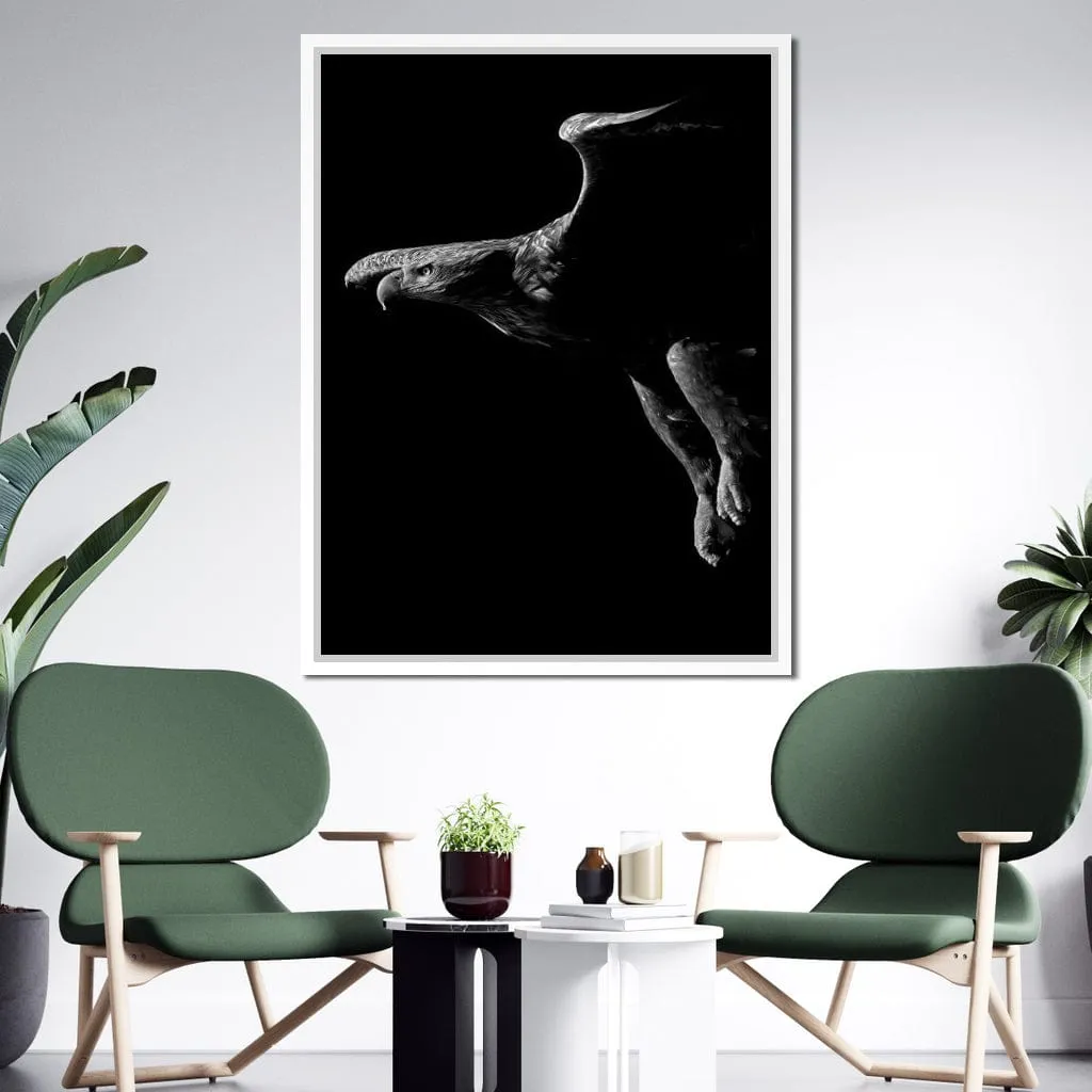 Black and White Eagle