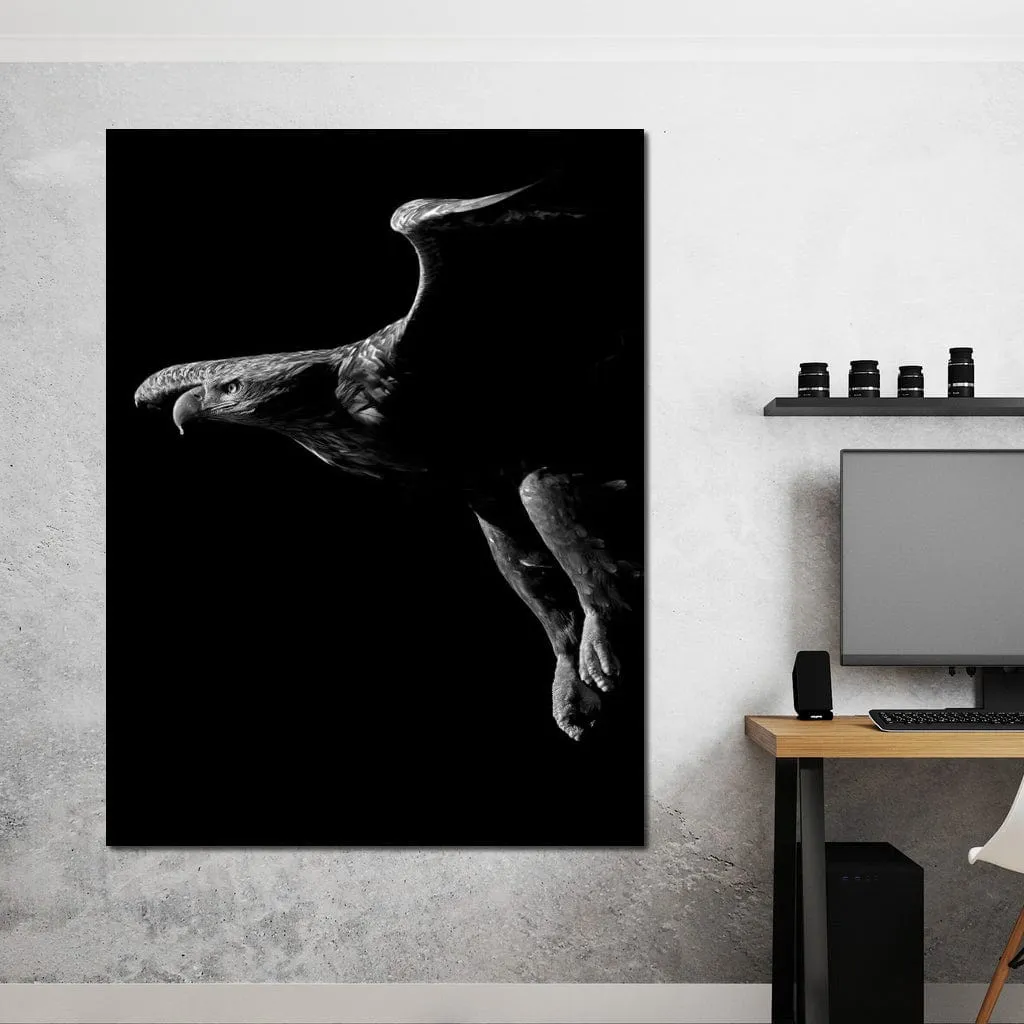 Black and White Eagle