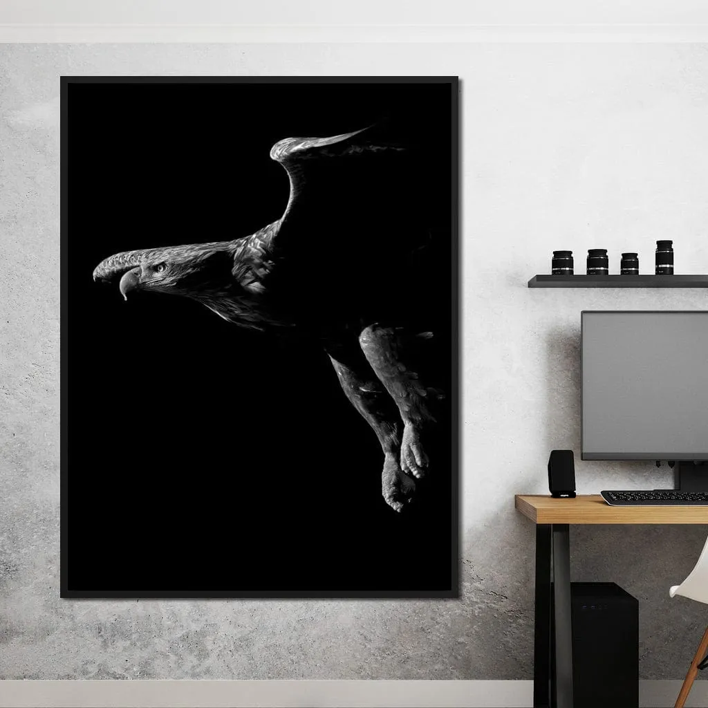 Black and White Eagle