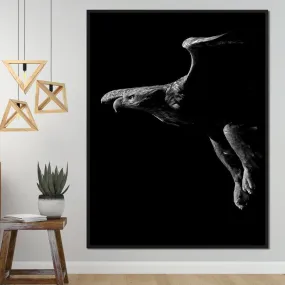 Black and White Eagle