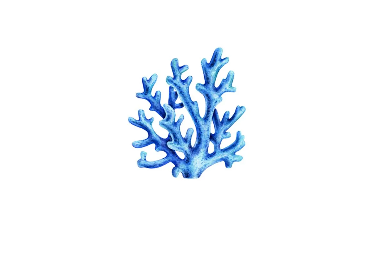 Blue Coral 2 | Canvas Wall Art Print
