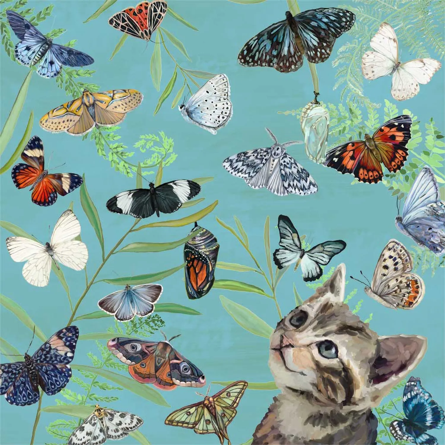 Butterfly Kitten Friend Canvas Wall Art