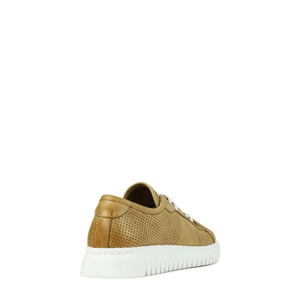 Classie Leather Low Sneakers