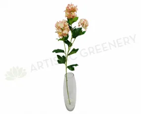 Clearance Stock - Mini Penny Hydrangea 85cm