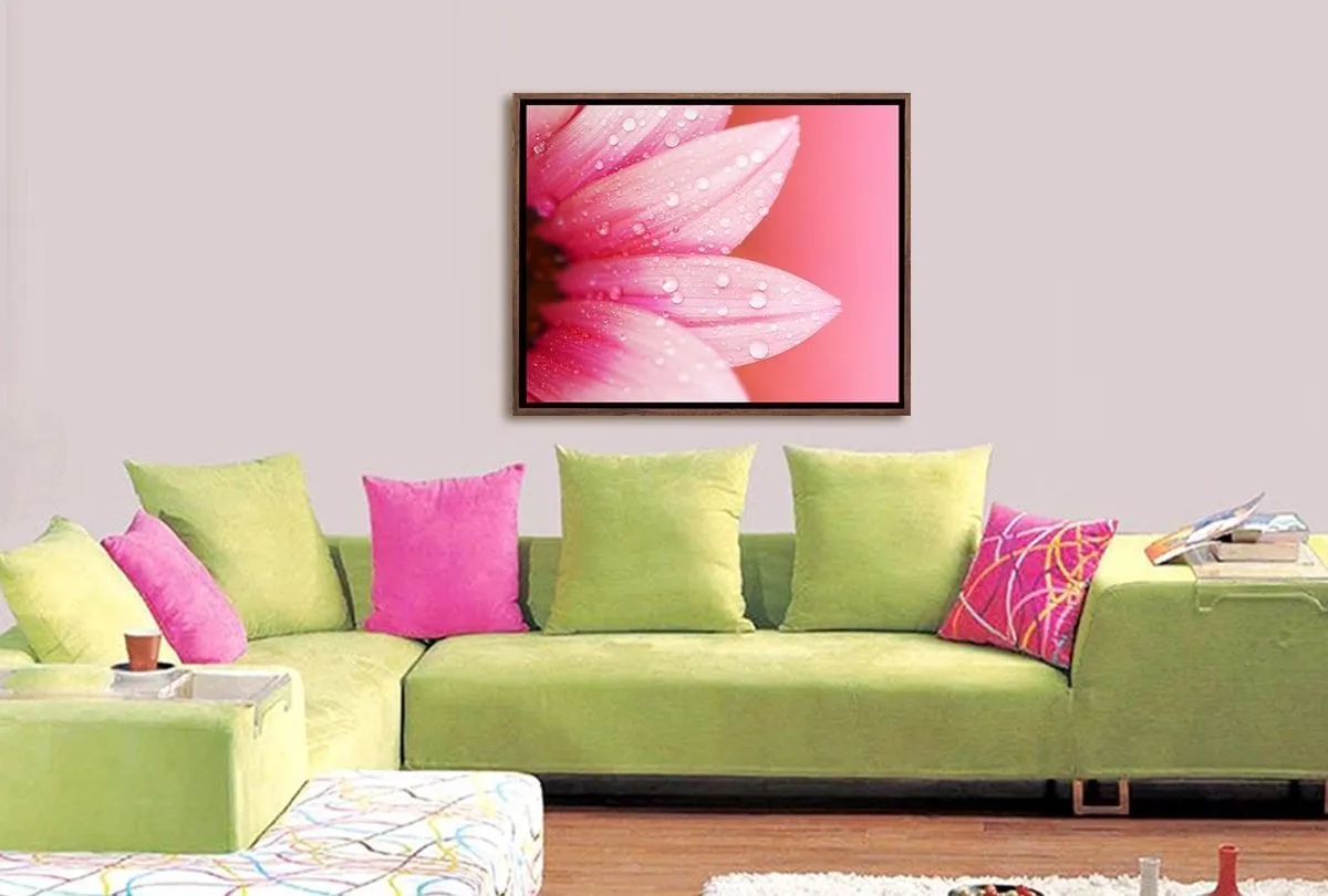 Daisy Pink | Canvas Art Print
