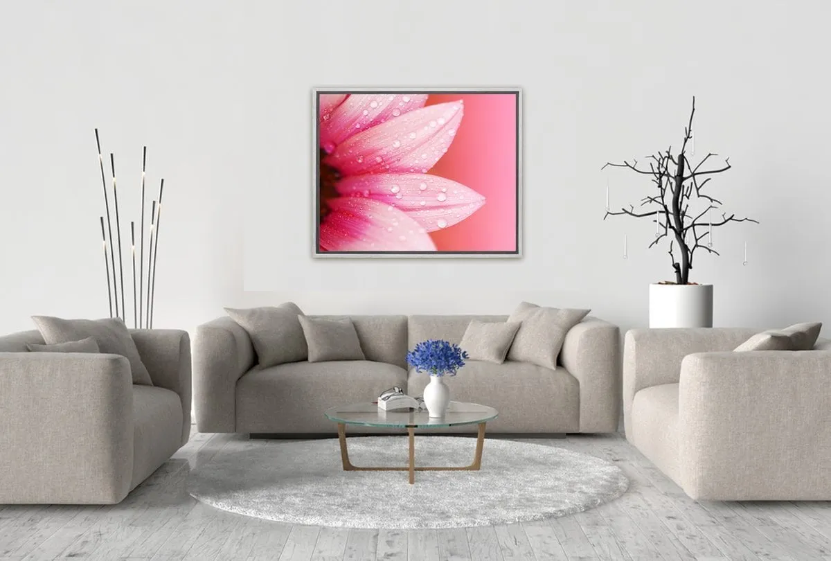 Daisy Pink | Canvas Art Print