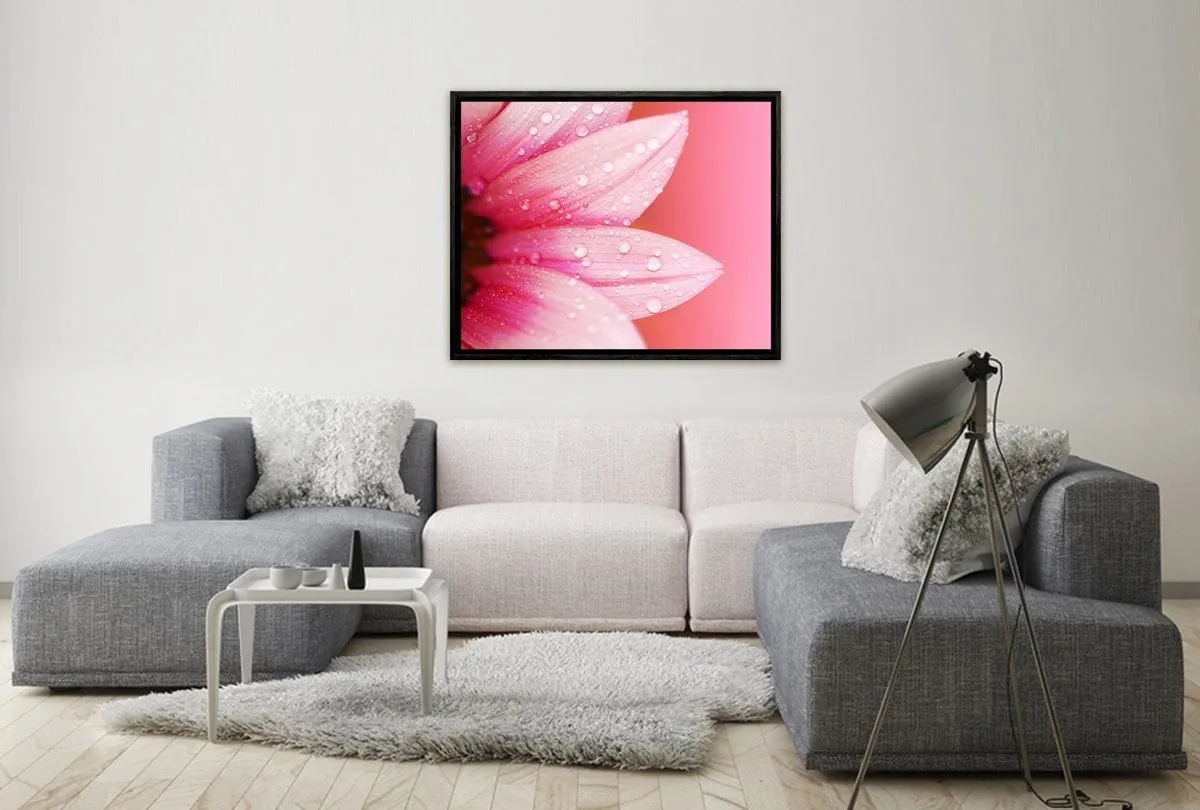 Daisy Pink | Canvas Art Print