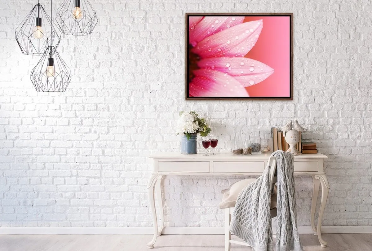 Daisy Pink | Canvas Art Print