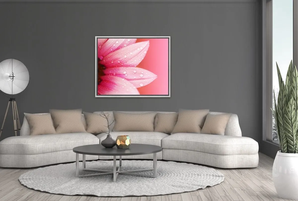 Daisy Pink | Canvas Art Print