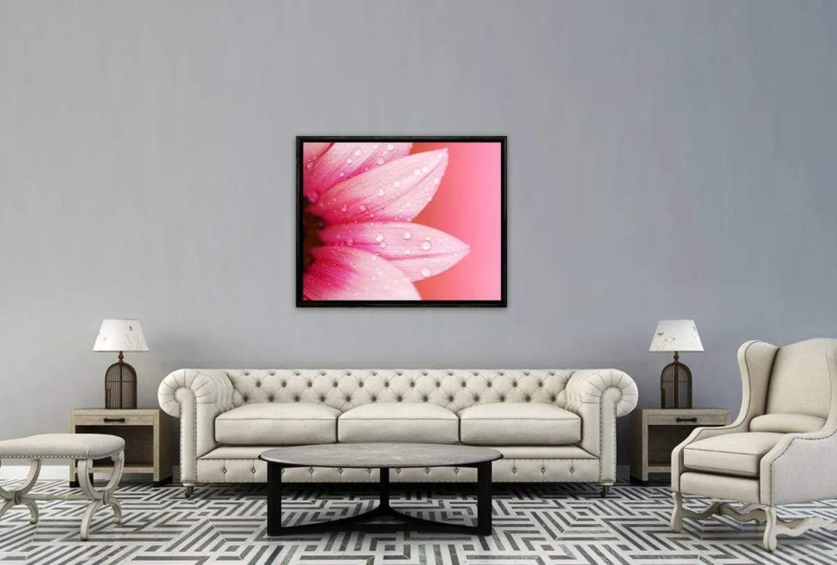 Daisy Pink | Canvas Art Print