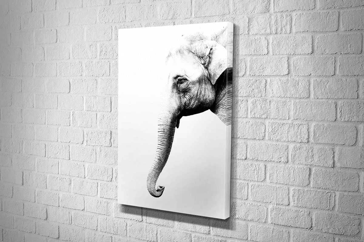 Elephant Portrait | Canvas Wall Art Print