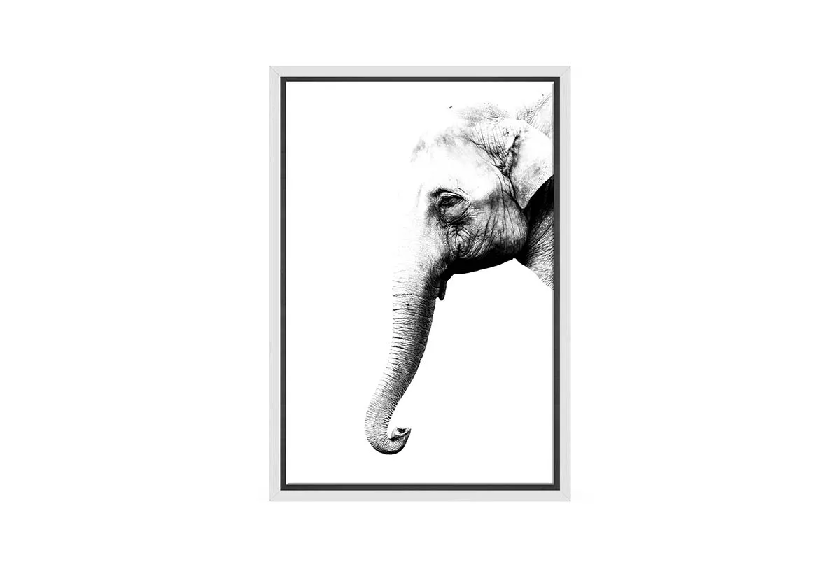 Elephant Portrait | Canvas Wall Art Print