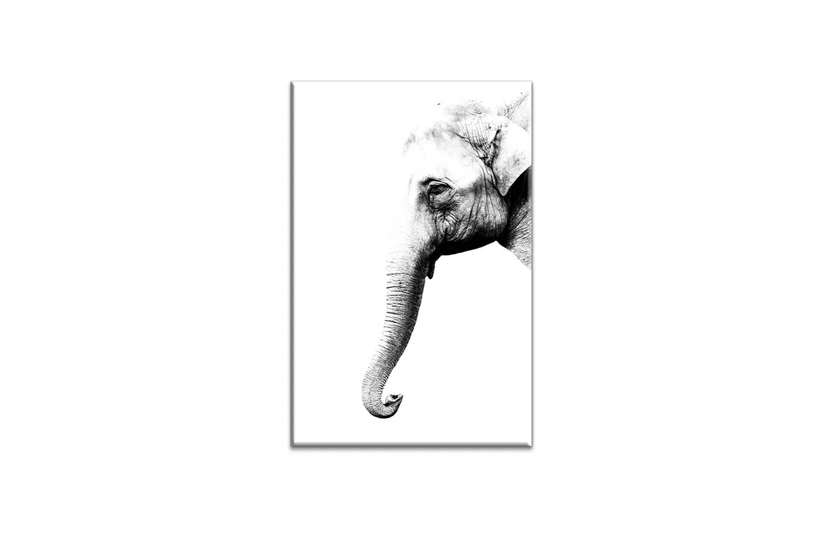 Elephant Portrait | Canvas Wall Art Print