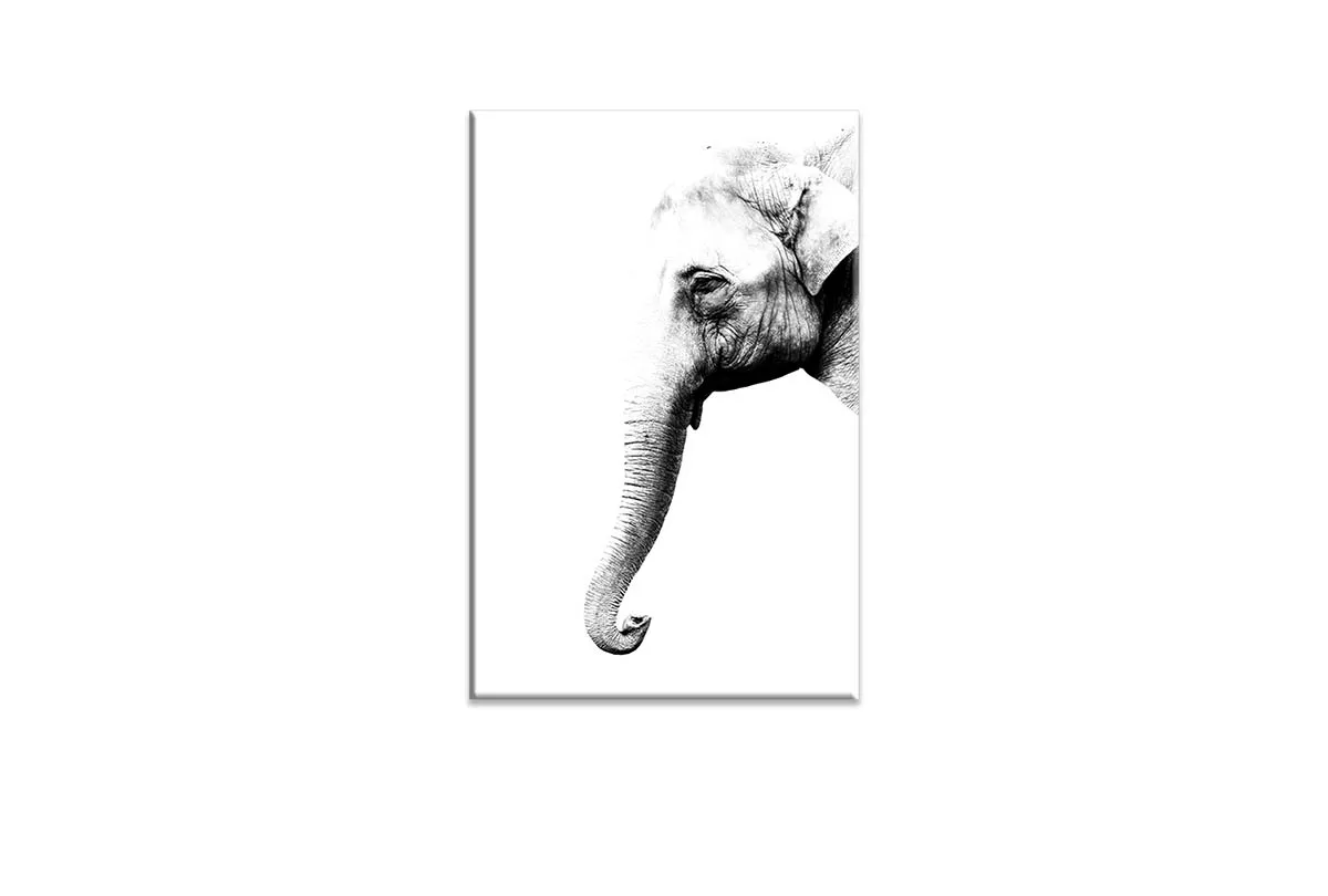 Elephant Portrait | Canvas Wall Art Print