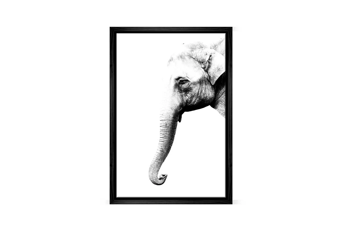 Elephant Portrait | Canvas Wall Art Print