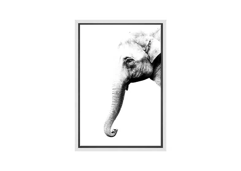 Elephant Portrait | Canvas Wall Art Print