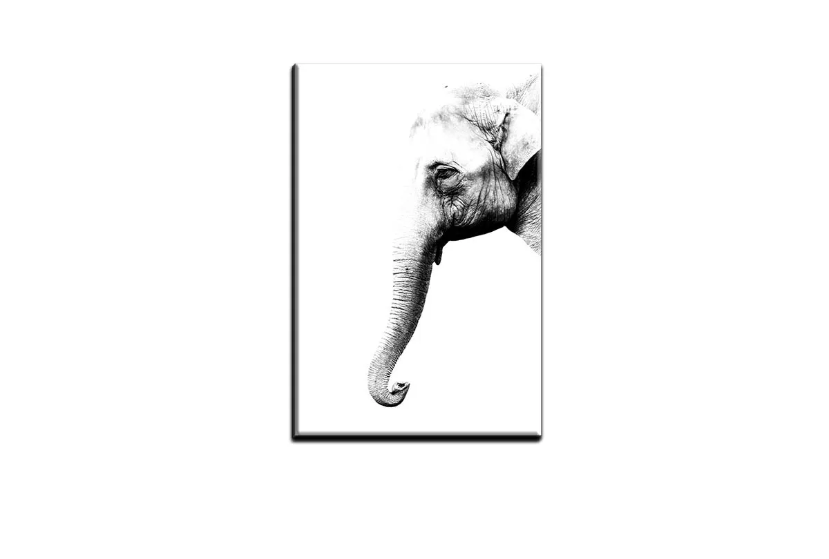 Elephant Portrait | Canvas Wall Art Print