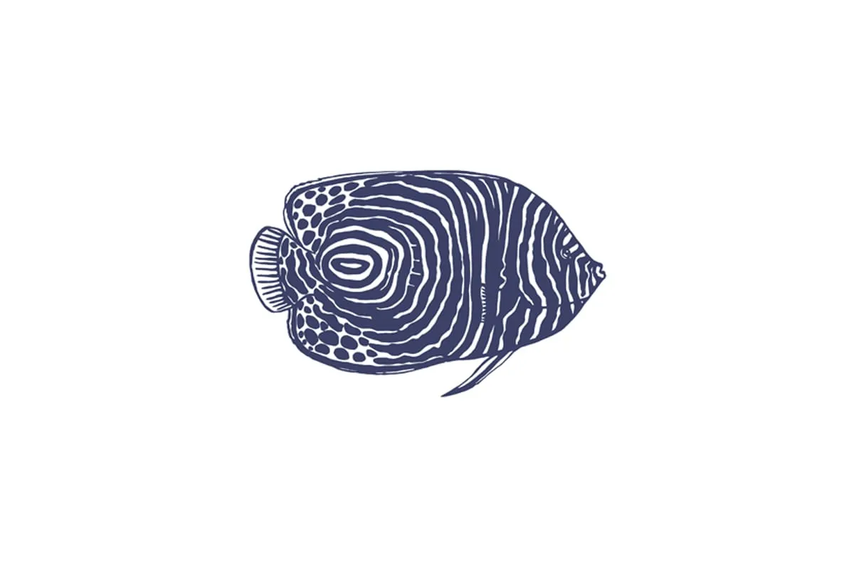 Fish 1 Navy on White | Canvas Wall Art Print