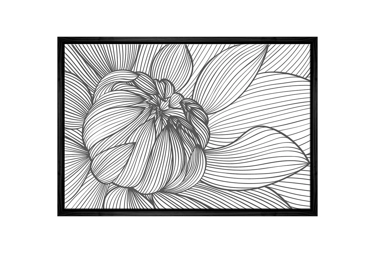 Floral Line Drawing | Canvas Wall Art Print