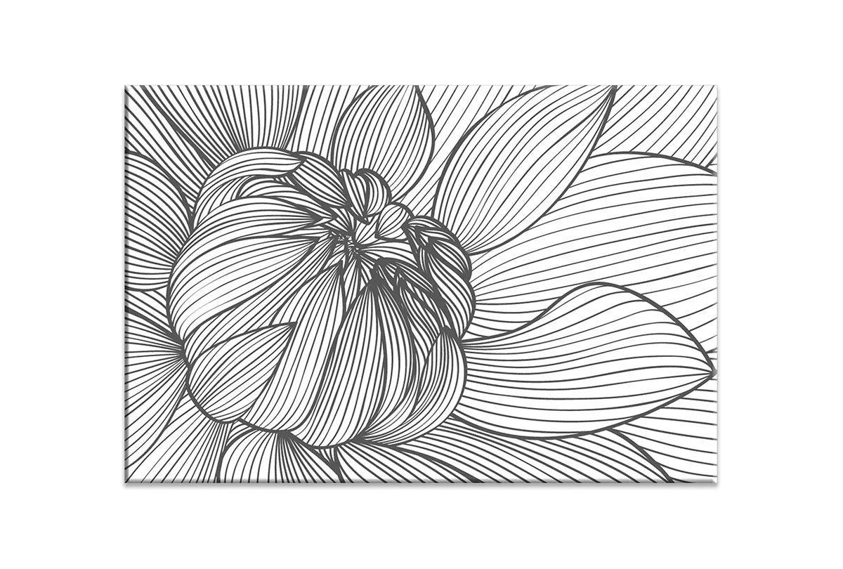 Floral Line Drawing | Canvas Wall Art Print