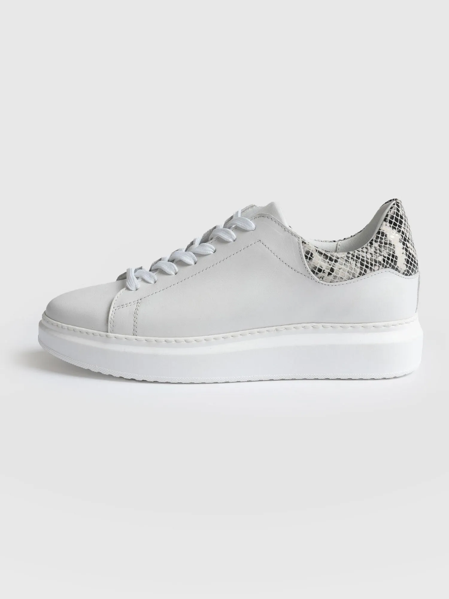 Hampstead Trainer - Snake
