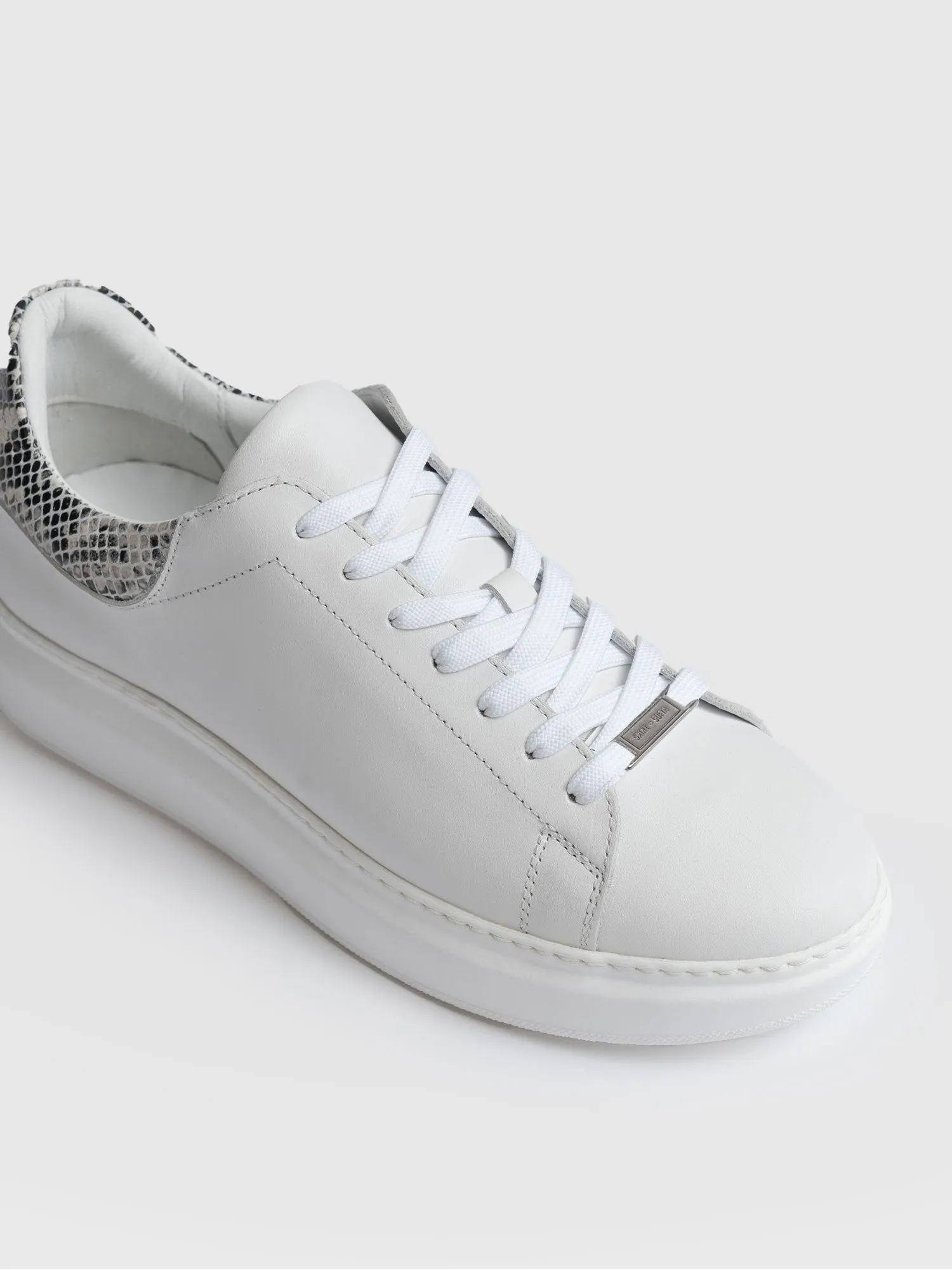 Hampstead Trainer - Snake