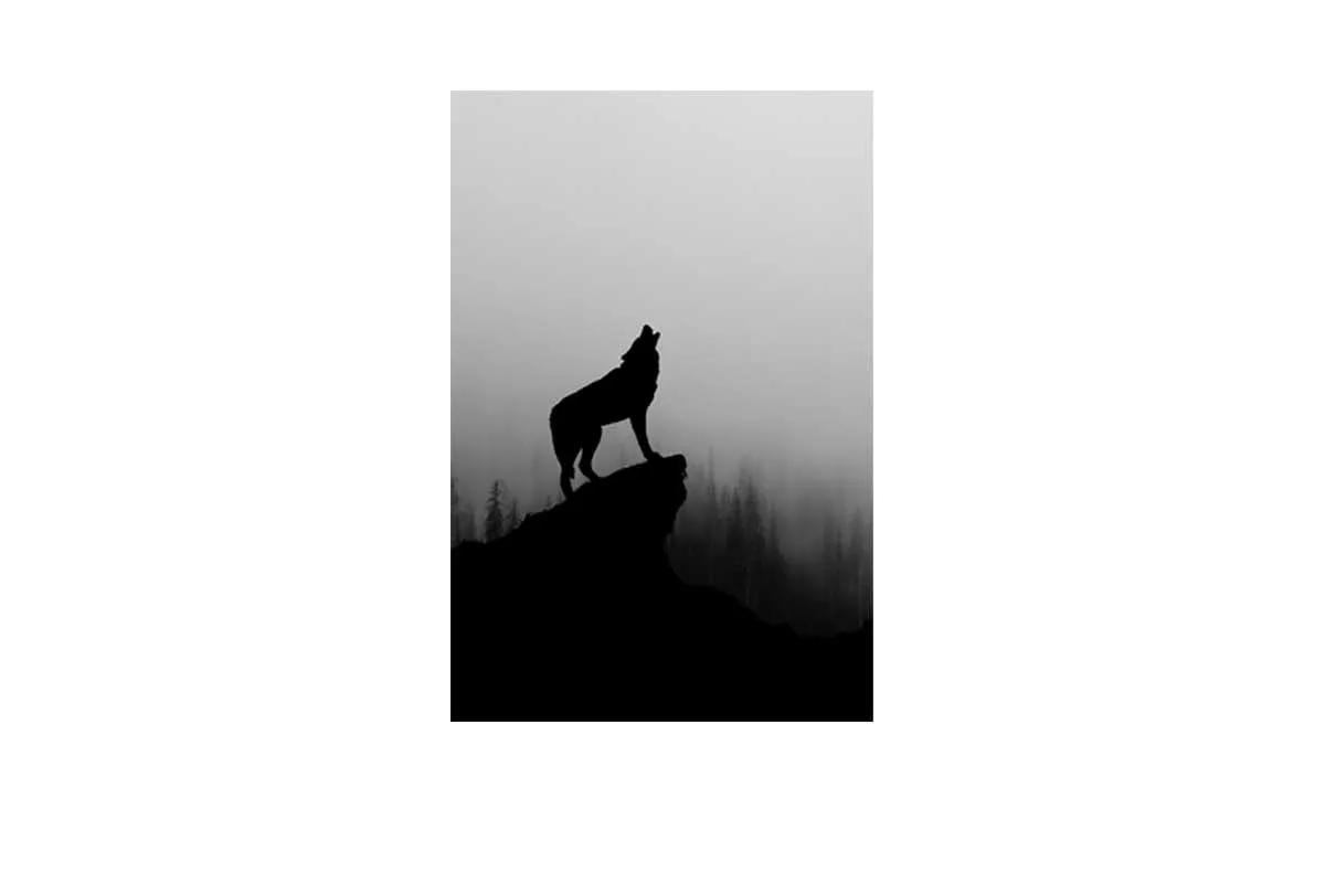 Howling Wolf | Canvas Wall Art Print
