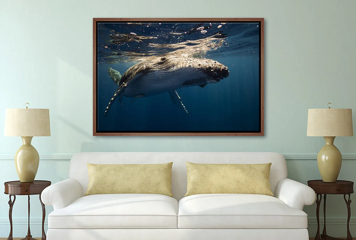Humpback Whale Wall Art | Wall Art Print