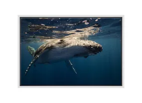 Humpback Whale Wall Art | Wall Art Print