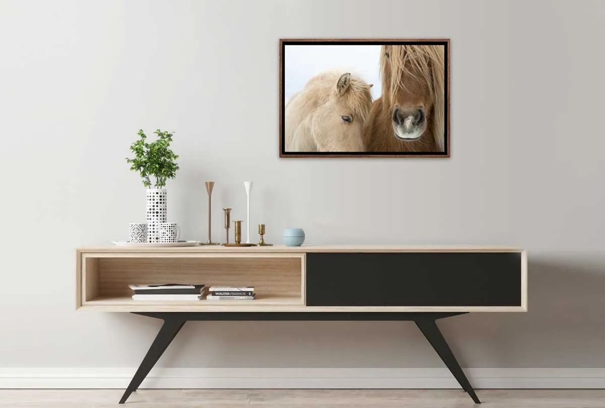 Icelandic Horses 2 | Canvas Art Print