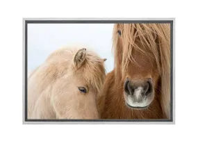 Icelandic Horses 2 | Canvas Art Print