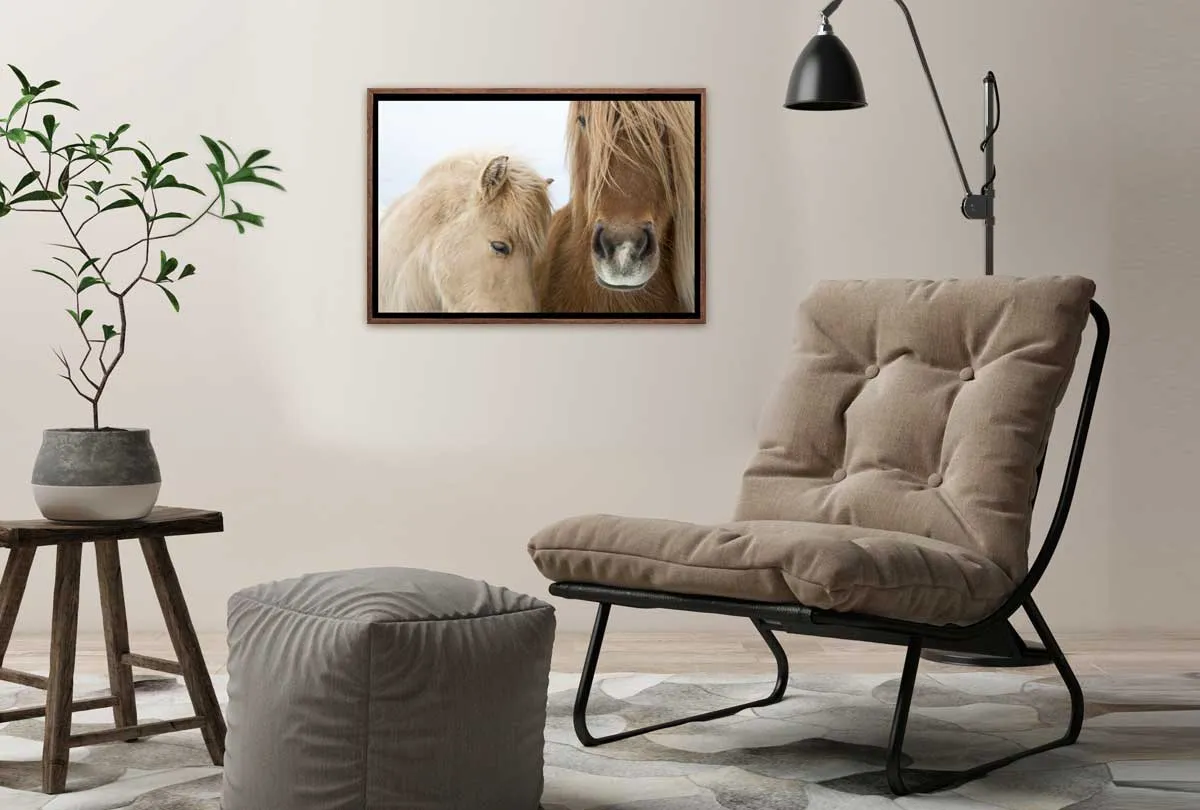 Icelandic Horses 2 | Canvas Art Print