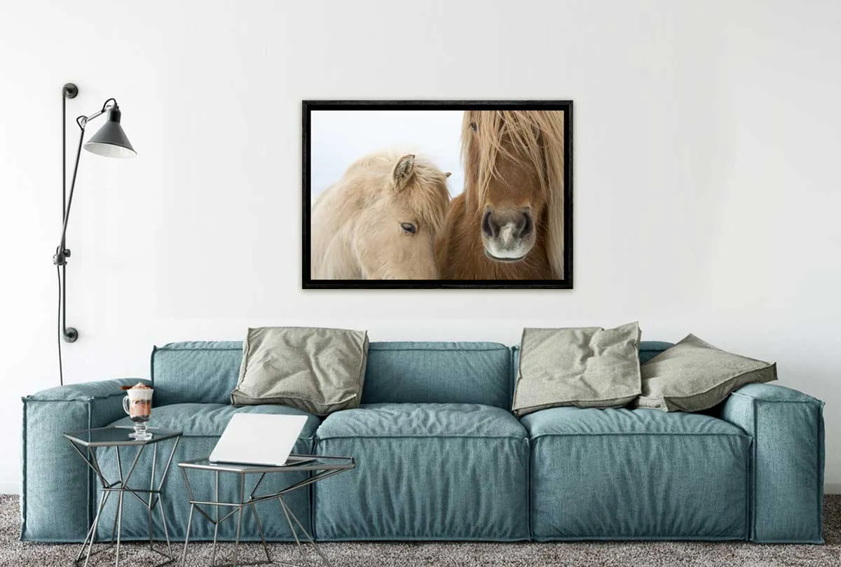 Icelandic Horses 2 | Canvas Art Print