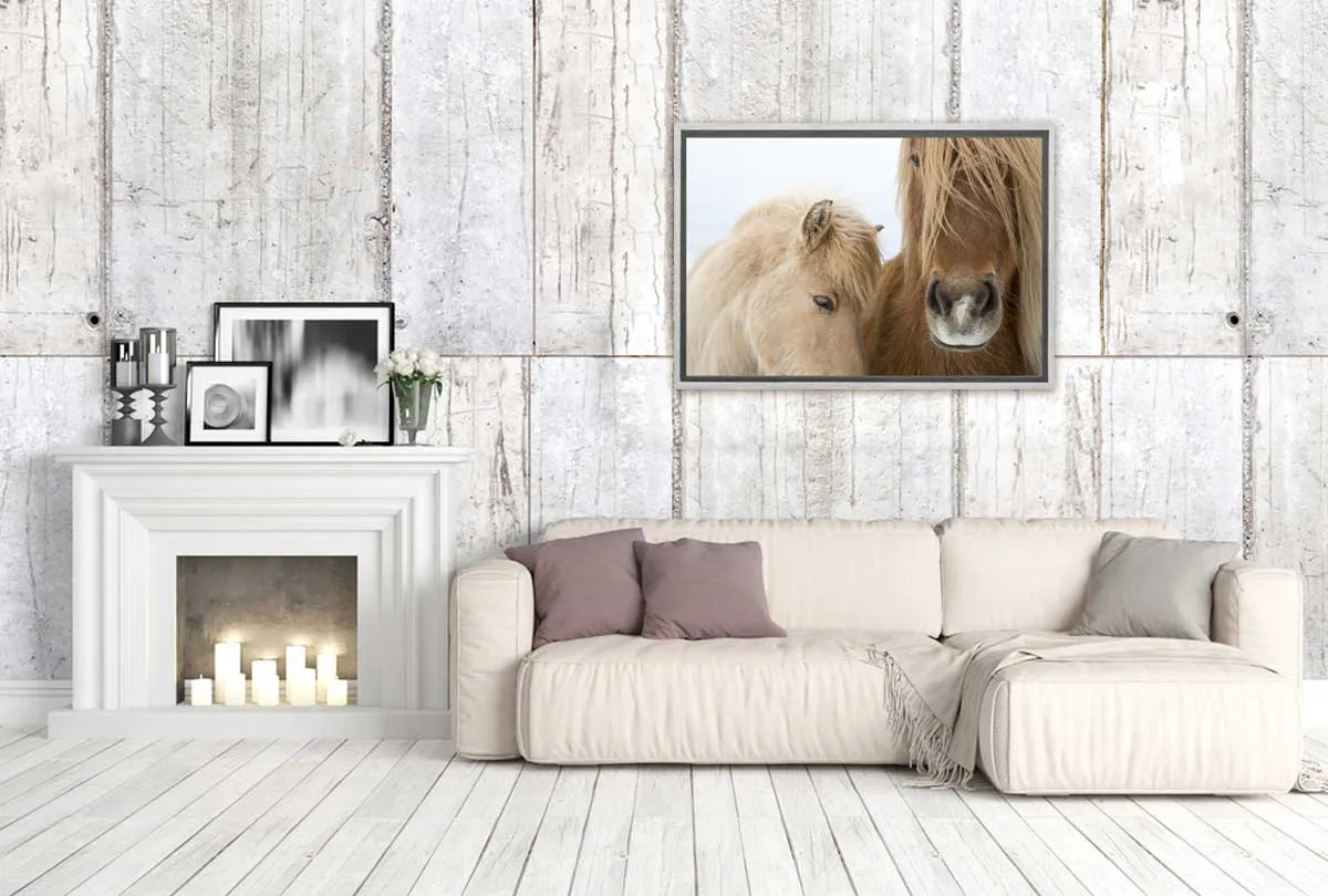 Icelandic Horses 2 | Canvas Art Print