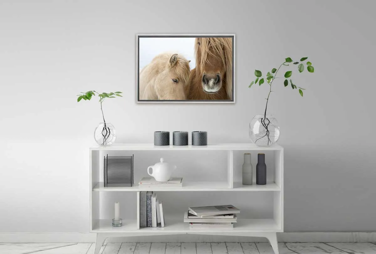 Icelandic Horses 2 | Canvas Art Print