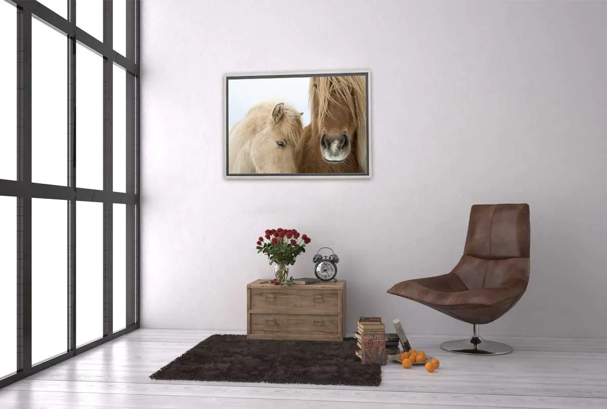 Icelandic Horses 2 | Canvas Art Print