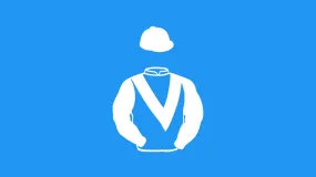 Mac Racing Mini Silks